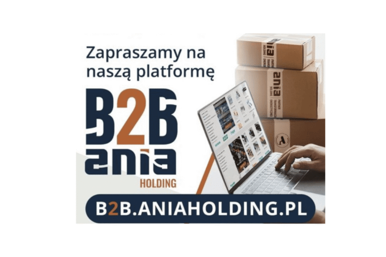 B2B Ania Holding — nowoczesna hurtownia elektroenergetyczna online dla profesjonalistów